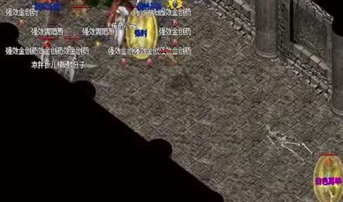 仿盛大传奇玩家在团战前要做哪些准备？